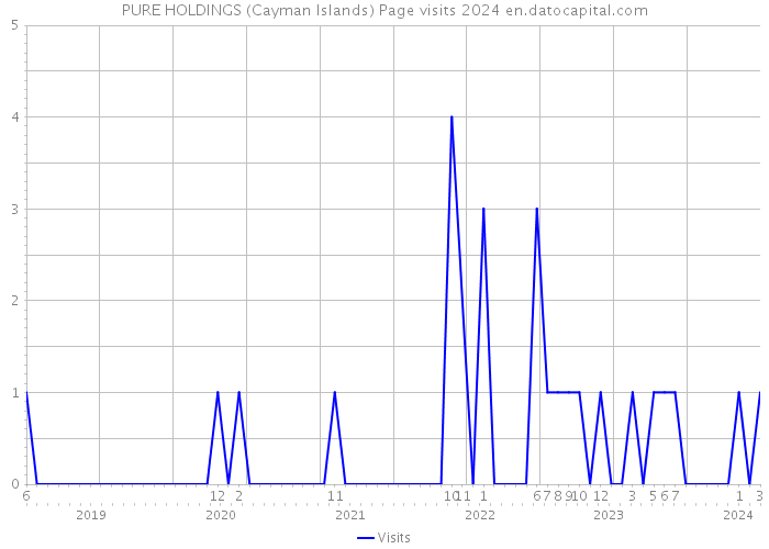 PURE HOLDINGS (Cayman Islands) Page visits 2024 