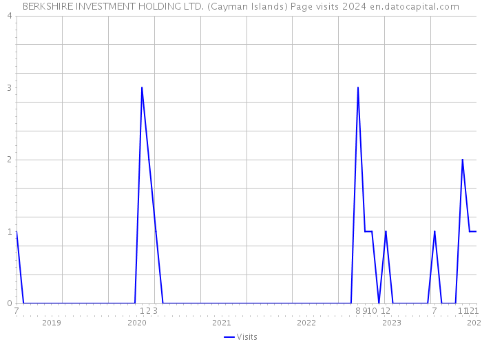 BERKSHIRE INVESTMENT HOLDING LTD. (Cayman Islands) Page visits 2024 