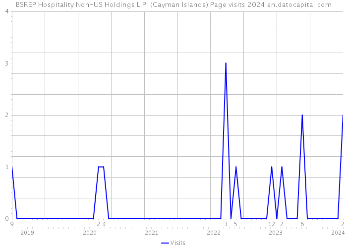 BSREP Hospitality Non-US Holdings L.P. (Cayman Islands) Page visits 2024 