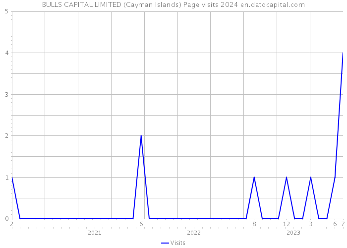 BULLS CAPITAL LIMITED (Cayman Islands) Page visits 2024 