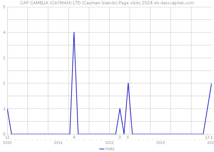 CAP CAMELIA (CAYMAN) LTD (Cayman Islands) Page visits 2024 
