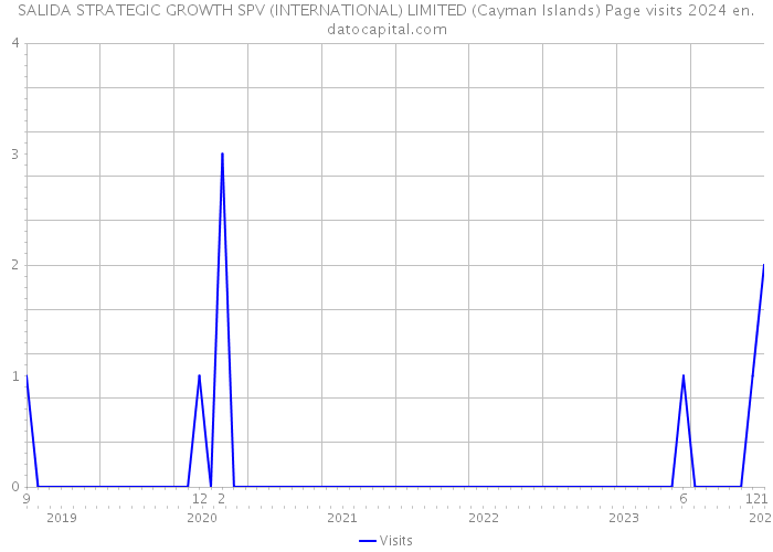 SALIDA STRATEGIC GROWTH SPV (INTERNATIONAL) LIMITED (Cayman Islands) Page visits 2024 