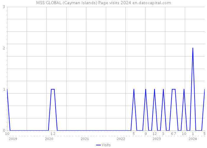 MSS GLOBAL (Cayman Islands) Page visits 2024 