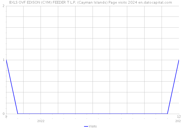 BXLS OVF EDISON (CYM) FEEDER T L.P. (Cayman Islands) Page visits 2024 