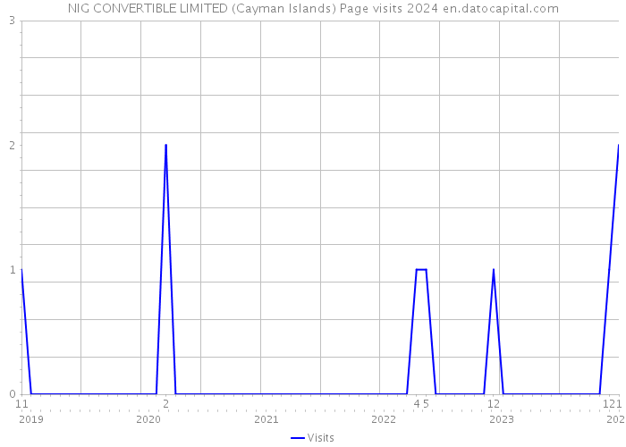 NIG CONVERTIBLE LIMITED (Cayman Islands) Page visits 2024 