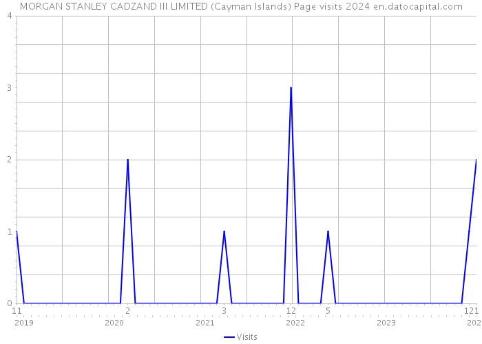 MORGAN STANLEY CADZAND III LIMITED (Cayman Islands) Page visits 2024 
