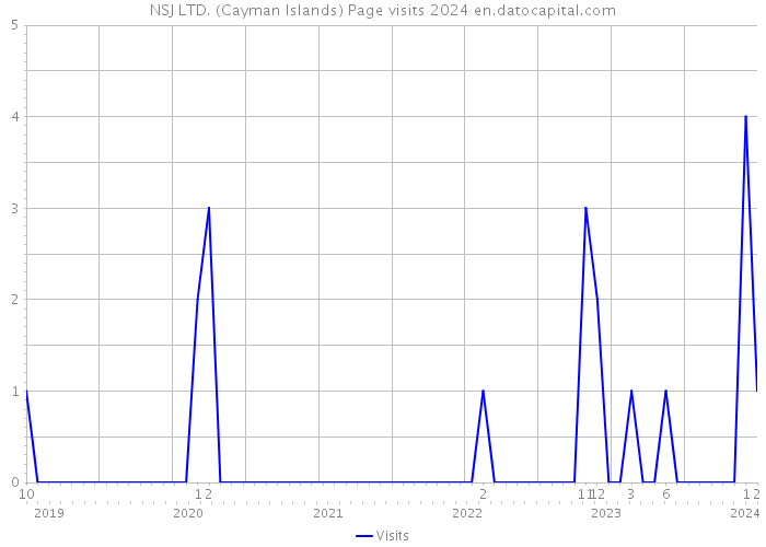 NSJ LTD. (Cayman Islands) Page visits 2024 