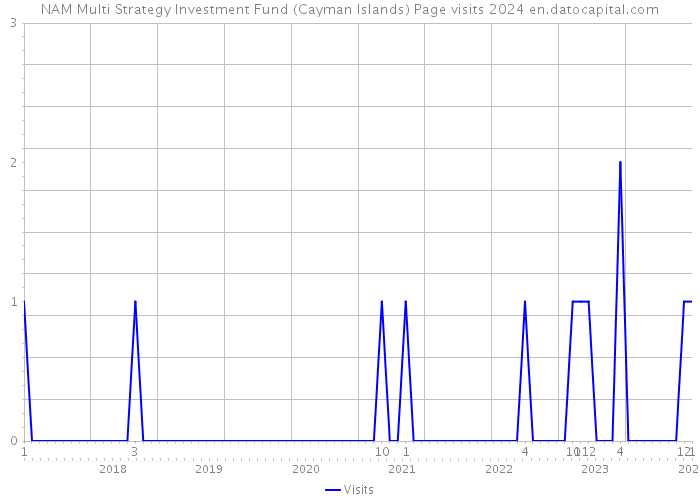 NAM Multi Strategy Investment Fund (Cayman Islands) Page visits 2024 