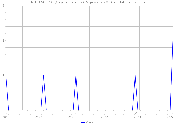 URU-BRAS INC (Cayman Islands) Page visits 2024 