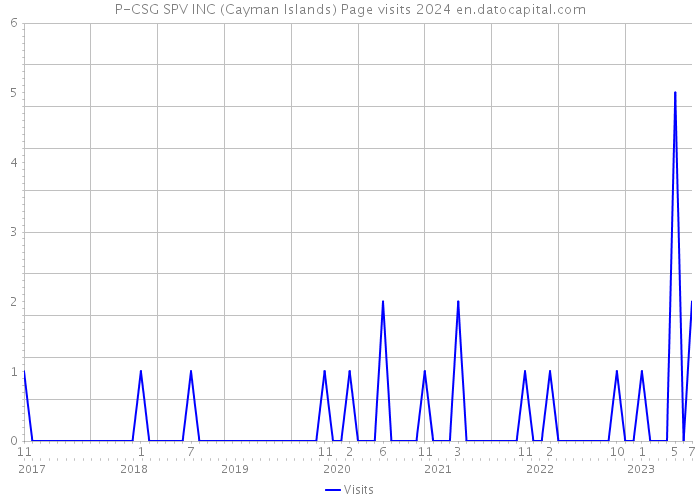 P-CSG SPV INC (Cayman Islands) Page visits 2024 