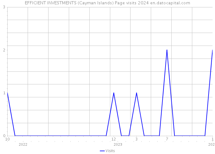 EFFICIENT INVESTMENTS (Cayman Islands) Page visits 2024 