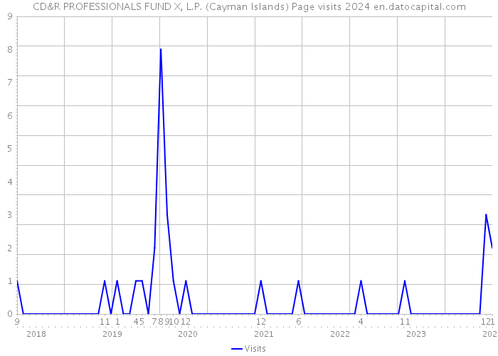 CD&R PROFESSIONALS FUND X, L.P. (Cayman Islands) Page visits 2024 