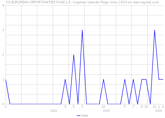 GS EUROPEAN OPPORTUNITIES FUND L.P. (Cayman Islands) Page visits 2024 