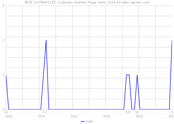 BCIP CAYMAN LTD. (Cayman Islands) Page visits 2024 