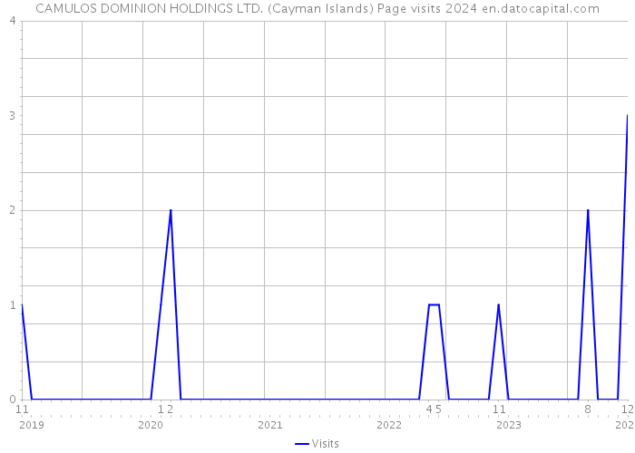 CAMULOS DOMINION HOLDINGS LTD. (Cayman Islands) Page visits 2024 