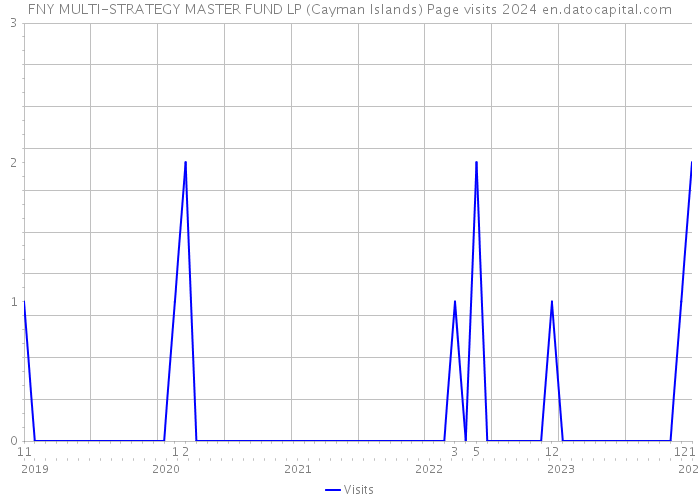 FNY MULTI-STRATEGY MASTER FUND LP (Cayman Islands) Page visits 2024 