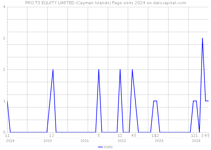 PRO T3 EQUITY LIMITED (Cayman Islands) Page visits 2024 