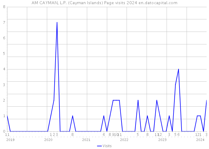 AM CAYMAN, L.P. (Cayman Islands) Page visits 2024 