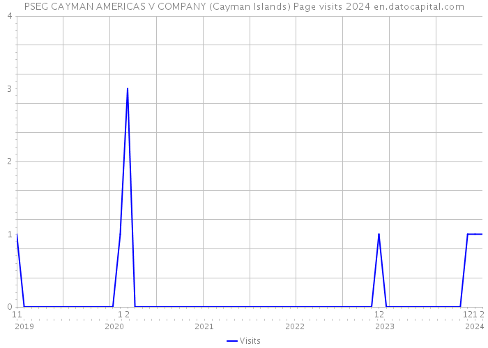 PSEG CAYMAN AMERICAS V COMPANY (Cayman Islands) Page visits 2024 