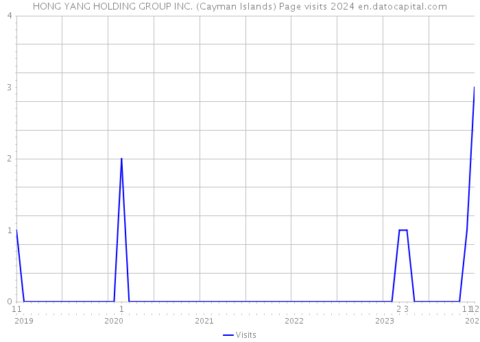 HONG YANG HOLDING GROUP INC. (Cayman Islands) Page visits 2024 