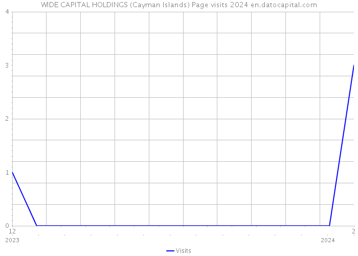 WIDE CAPITAL HOLDINGS (Cayman Islands) Page visits 2024 
