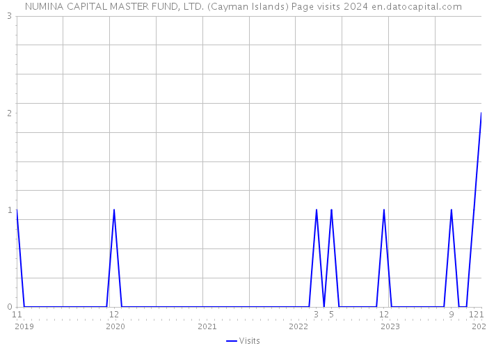 NUMINA CAPITAL MASTER FUND, LTD. (Cayman Islands) Page visits 2024 