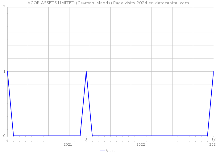 AGOR ASSETS LIMITED (Cayman Islands) Page visits 2024 