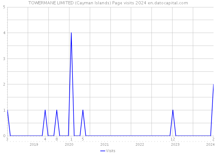 TOWERMANE LIMITED (Cayman Islands) Page visits 2024 