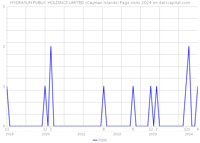 HYDRASUN PUBLIC HOLDINGS LIMITED (Cayman Islands) Page visits 2024 