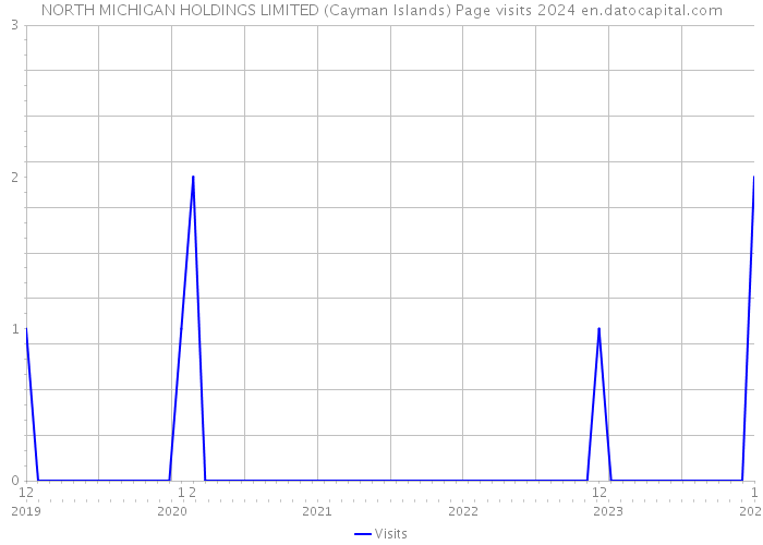 NORTH MICHIGAN HOLDINGS LIMITED (Cayman Islands) Page visits 2024 