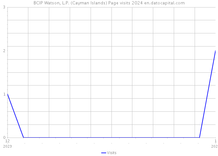 BCIP Watson, L.P. (Cayman Islands) Page visits 2024 