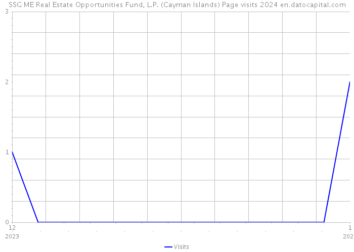 SSG ME Real Estate Opportunities Fund, L.P. (Cayman Islands) Page visits 2024 
