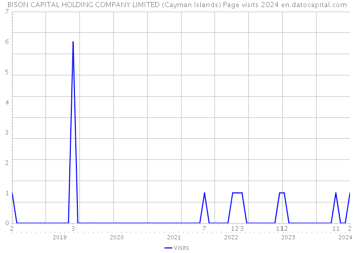 BISON CAPITAL HOLDING COMPANY LIMITED (Cayman Islands) Page visits 2024 