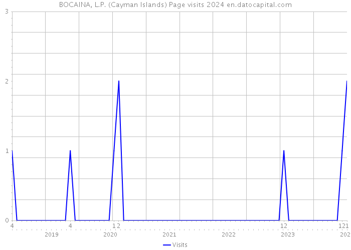 BOCAINA, L.P. (Cayman Islands) Page visits 2024 