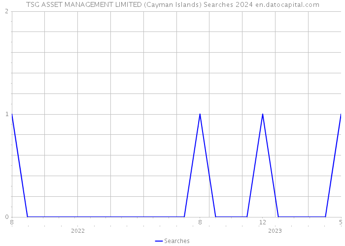 TSG ASSET MANAGEMENT LIMITED (Cayman Islands) Searches 2024 