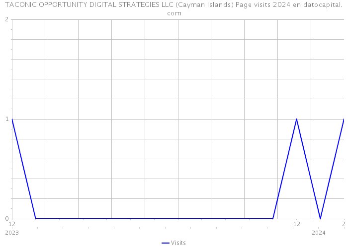 TACONIC OPPORTUNITY DIGITAL STRATEGIES LLC (Cayman Islands) Page visits 2024 