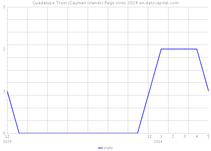 Guadalupe Trust (Cayman Islands) Page visits 2024 