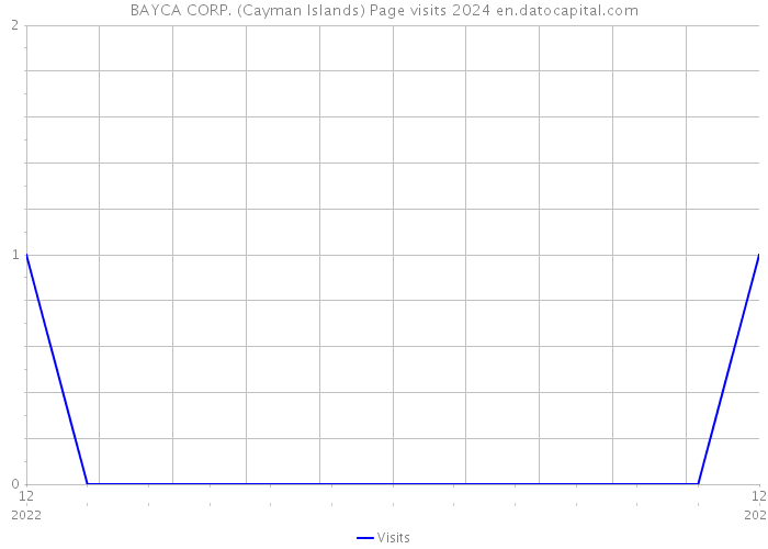 BAYCA CORP. (Cayman Islands) Page visits 2024 