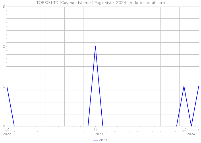 TORSO LTD (Cayman Islands) Page visits 2024 