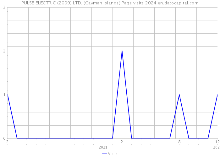 PULSE ELECTRIC (2009) LTD. (Cayman Islands) Page visits 2024 