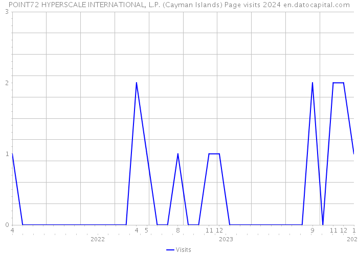 POINT72 HYPERSCALE INTERNATIONAL, L.P. (Cayman Islands) Page visits 2024 