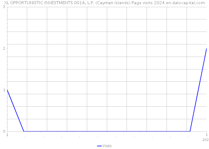 XL OPPORTUNISTIC INVESTMENTS 001A, L.P. (Cayman Islands) Page visits 2024 