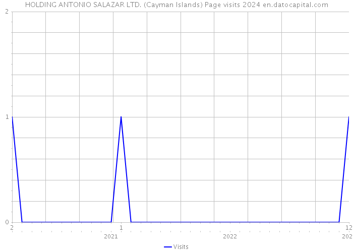 HOLDING ANTONIO SALAZAR LTD. (Cayman Islands) Page visits 2024 