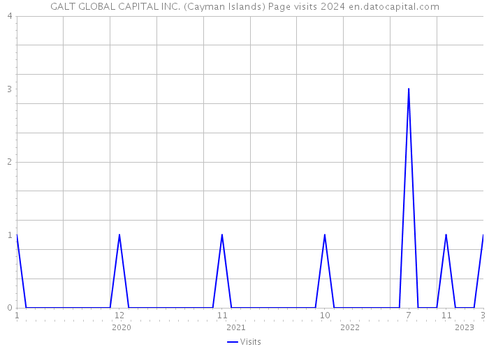 GALT GLOBAL CAPITAL INC. (Cayman Islands) Page visits 2024 