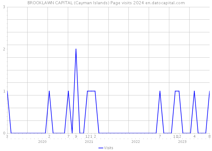 BROOKLAWN CAPITAL (Cayman Islands) Page visits 2024 