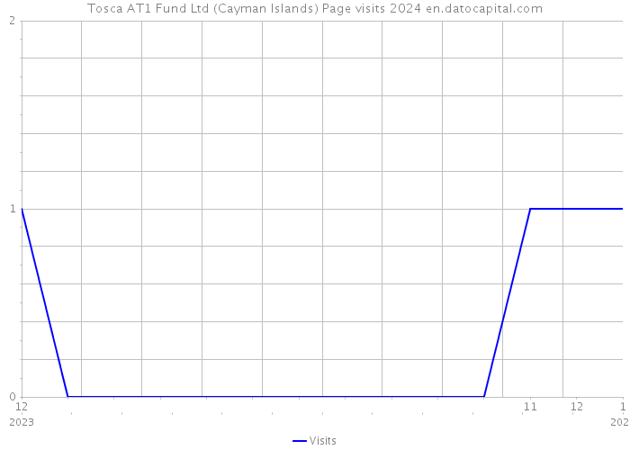 Tosca AT1 Fund Ltd (Cayman Islands) Page visits 2024 