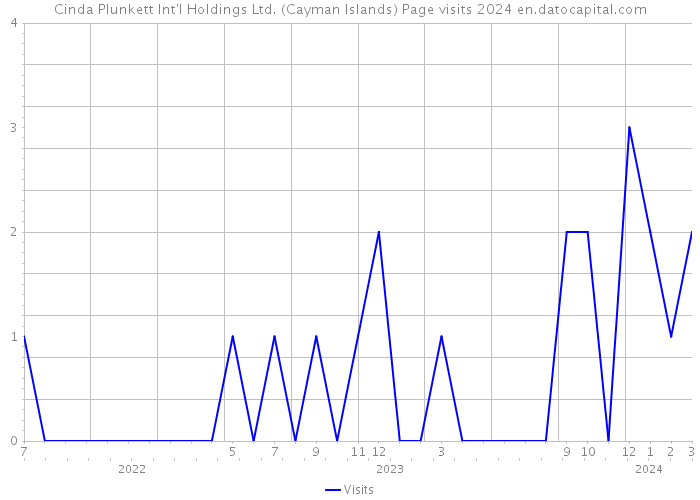 Cinda Plunkett Int'l Holdings Ltd. (Cayman Islands) Page visits 2024 