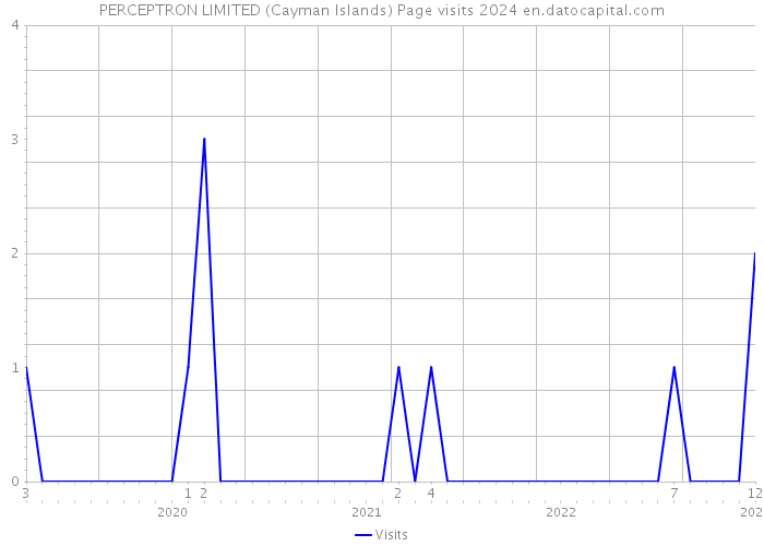 PERCEPTRON LIMITED (Cayman Islands) Page visits 2024 
