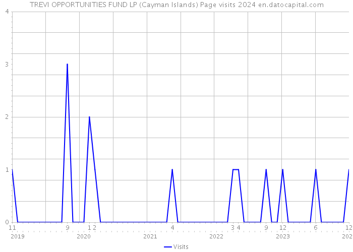 TREVI OPPORTUNITIES FUND LP (Cayman Islands) Page visits 2024 