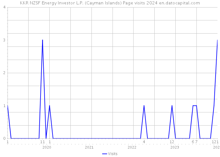 KKR NZSF Energy Investor L.P. (Cayman Islands) Page visits 2024 